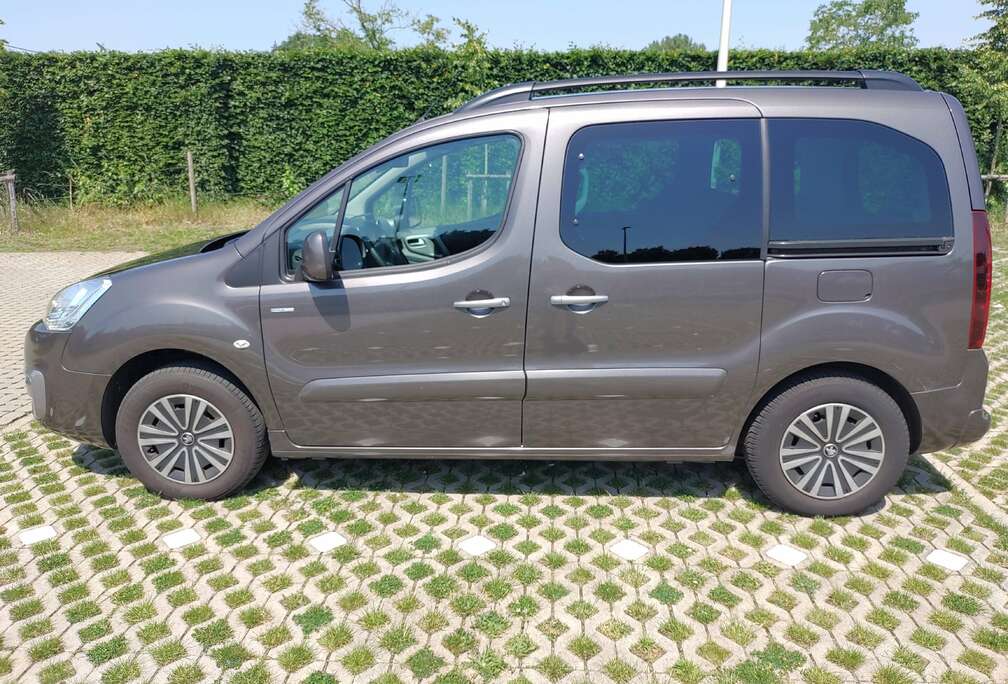 Peugeot 1.2 Style