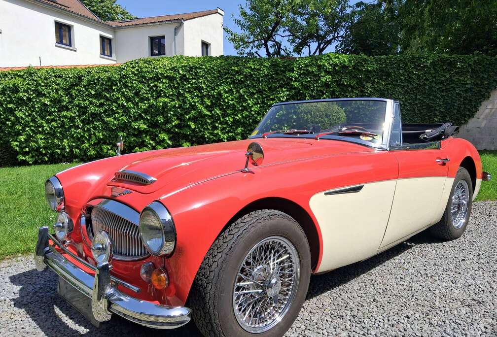 Austin-Healey 3000 MKIII BJ8  1965  Matching Numbers  Certificat Heritage