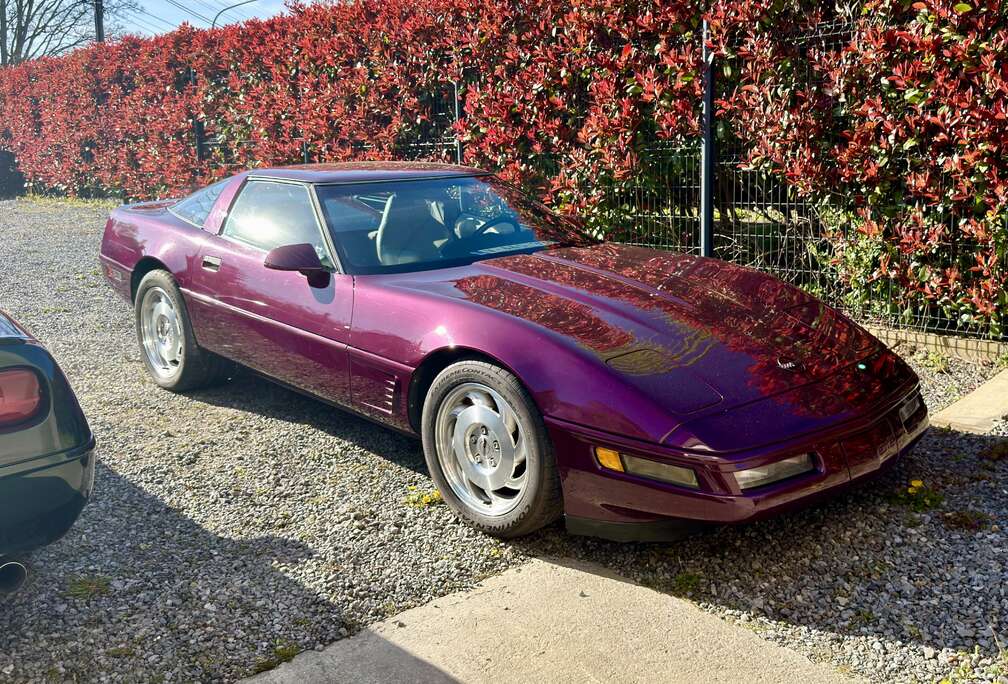 Chevrolet DARK PURPLE METALLIC  COMING SOON