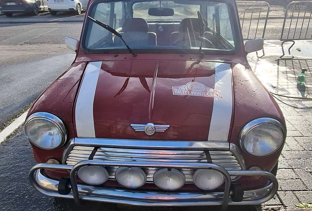MINI Monte Carlo 1994