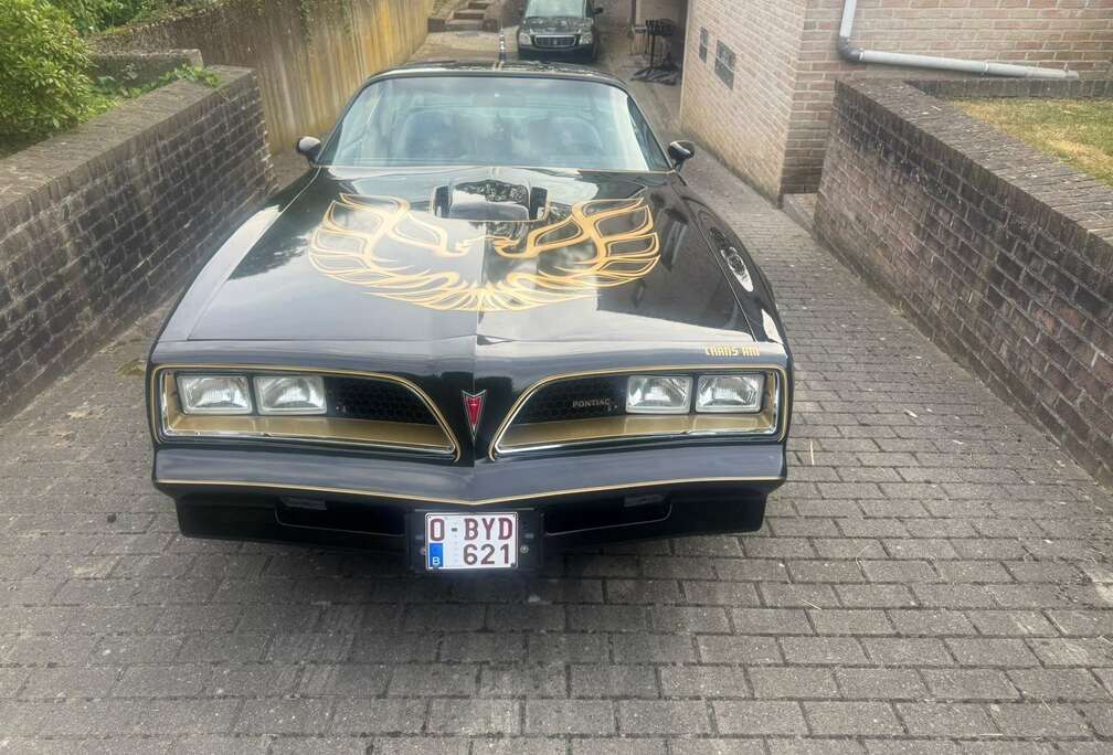 Pontiac Trans Am 6.6 1977