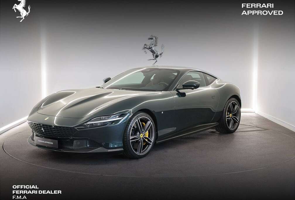 Ferrari Verde Zeltweg / Full Carbon / Ferrari Approved