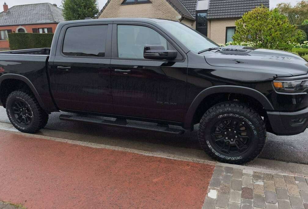 REBEL X