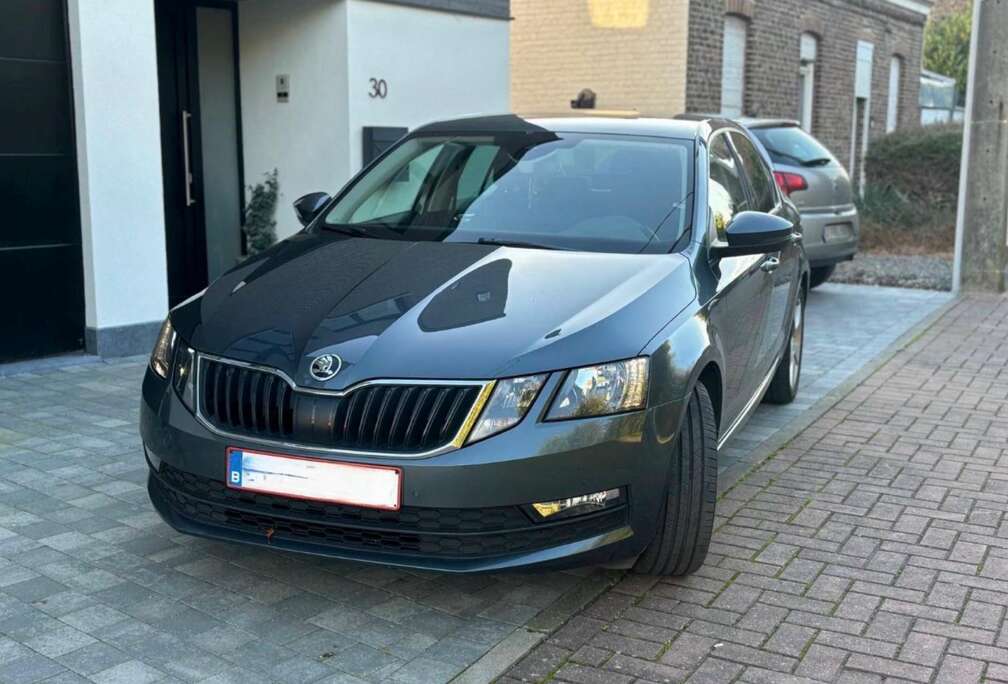 Skoda 1.6 CR TDi Ambition DSG (EU6.2)