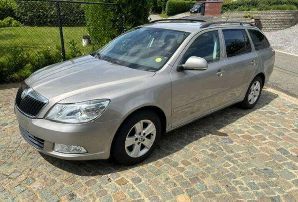Skoda 1.6 CR TDi Ambiente DPF