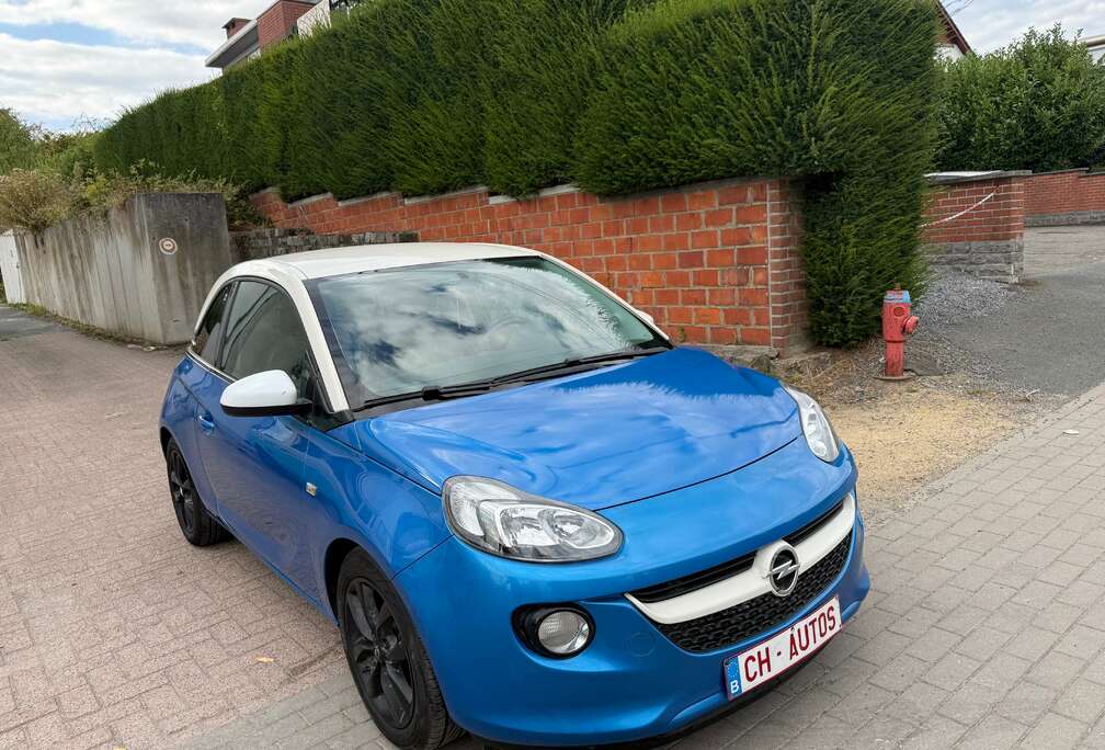 Opel 1.2i - CLIMATISÉE -PRETE A IMMATRICULER - GARANTI
