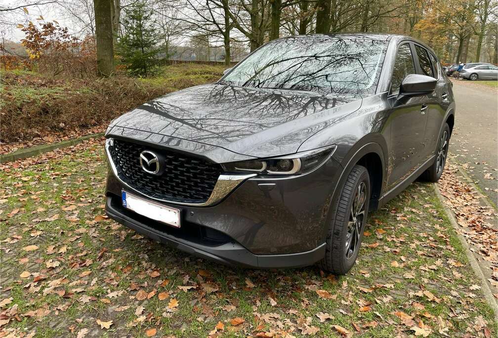 Mazda e-SKYACTIV-G 165 AWD Aut. Center-Line mit COCO