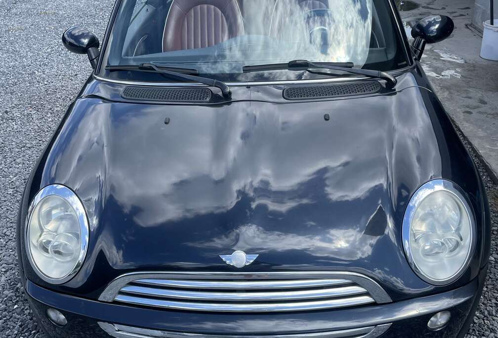 MINI Serie Sepeciale Skylin