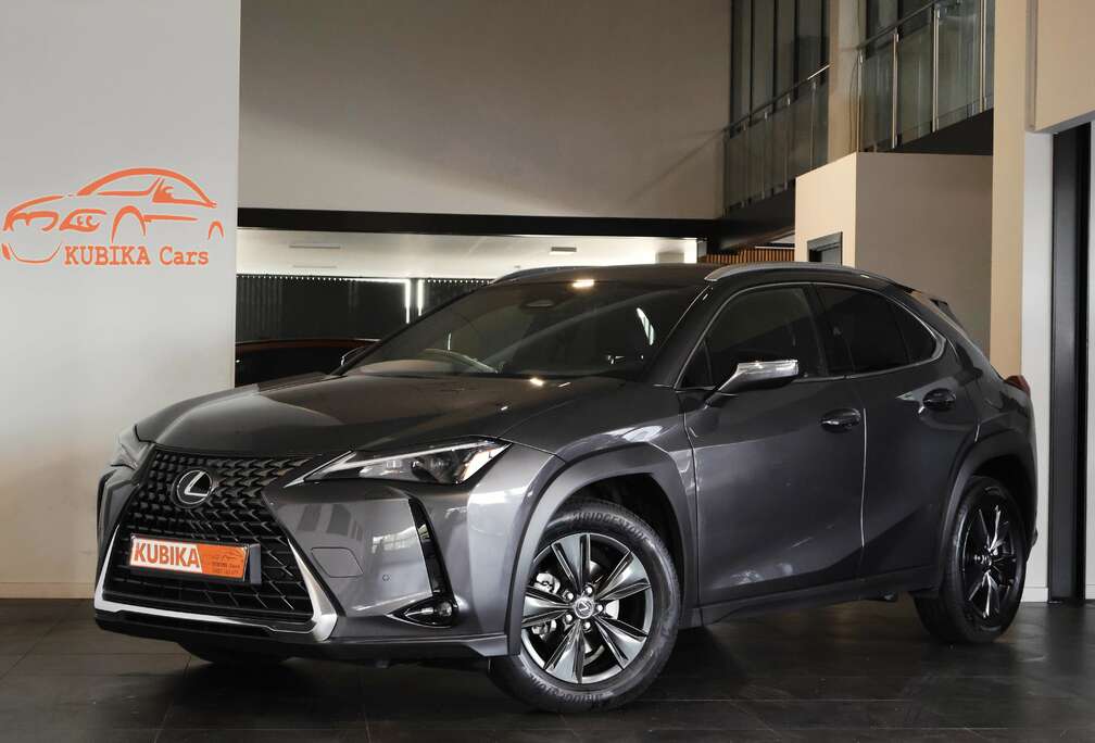 Lexus UX 300h  Aut Navi Cam DodeH LijnA ACC Garantie