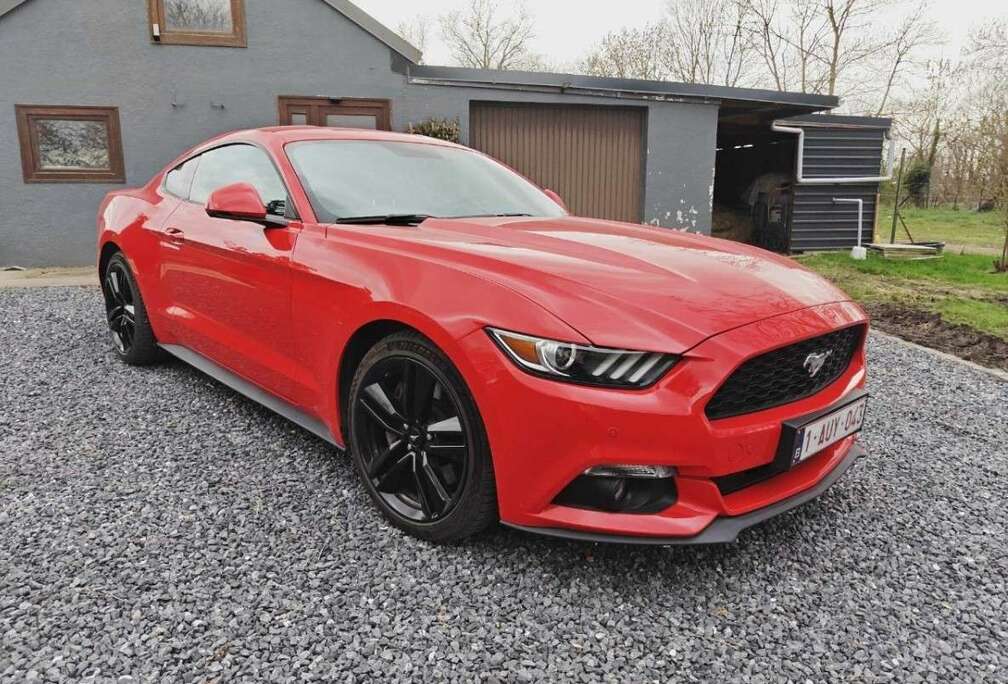 Ford 2.3 - 317cv - RED RACE - carnet ford