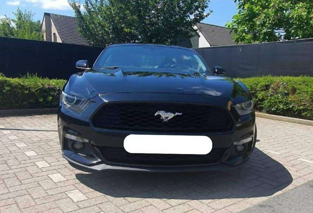 Ford Ford Mustang 2.3 EcoBoost Premium Performance Pack – Handgeschakeld – Recaro stoelen – Zeer verzorgde staat