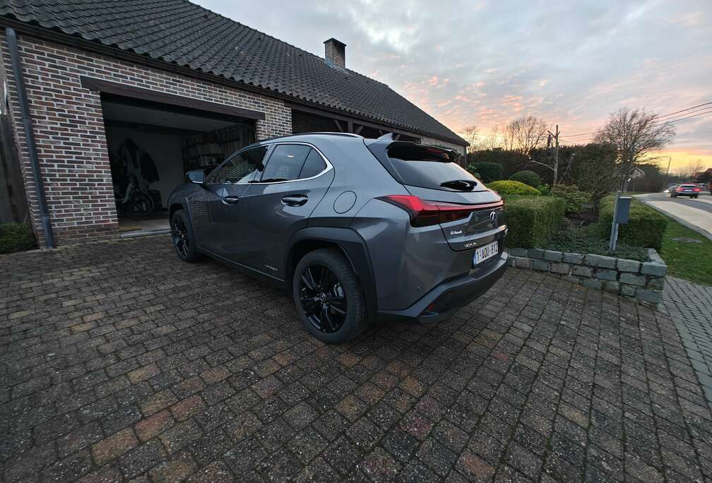 Lexus Black Line