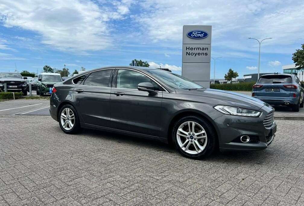 Ford Enkel voor professionele verkoop.