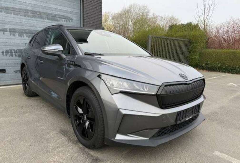 Skoda 50 Black Style Leder Camera Cruise SOH 94.4