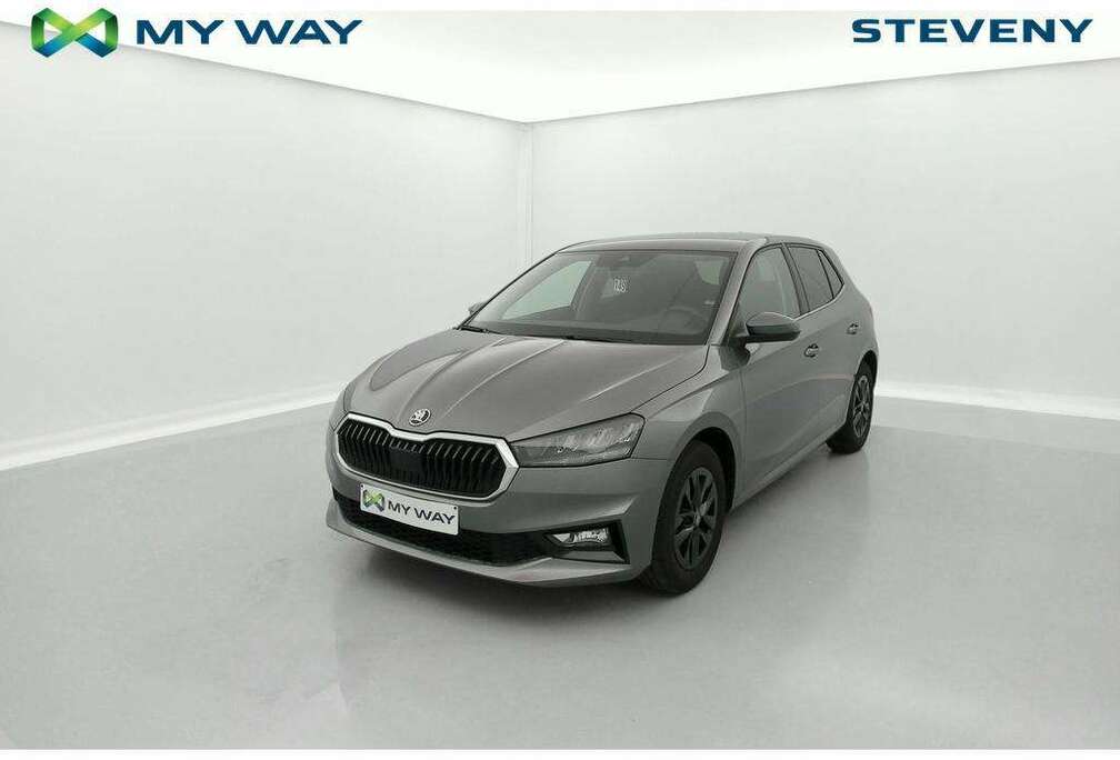 Skoda Fabia 1.0 TSI Selection DSG
