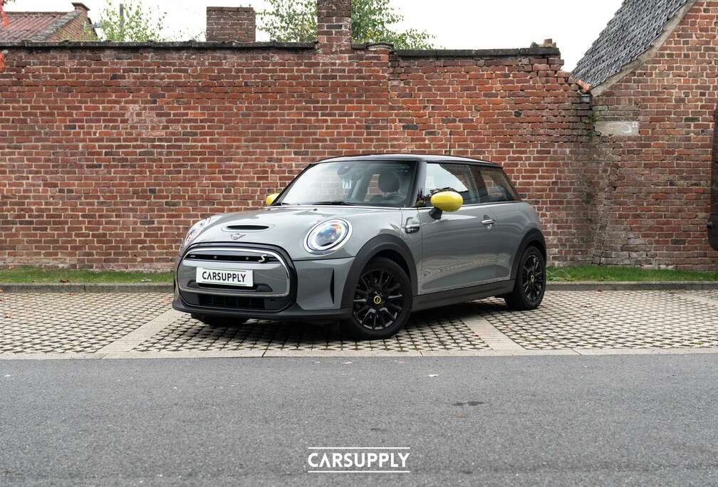 MINI Mini Cooper SE- OW71- Pano dak- Camera- Apple carp