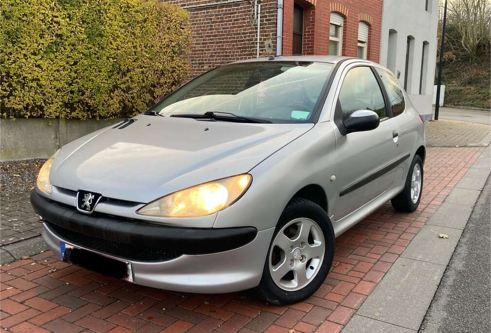 Peugeot 1.1 Benzine *Proper *is net blanco Gekeurd/Carpas