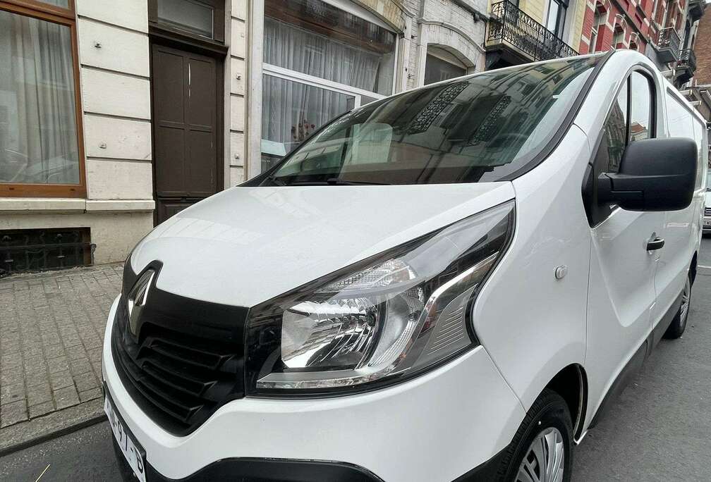 Renault 1.9 dCi 29 L1H1 Hayon/Achterklep