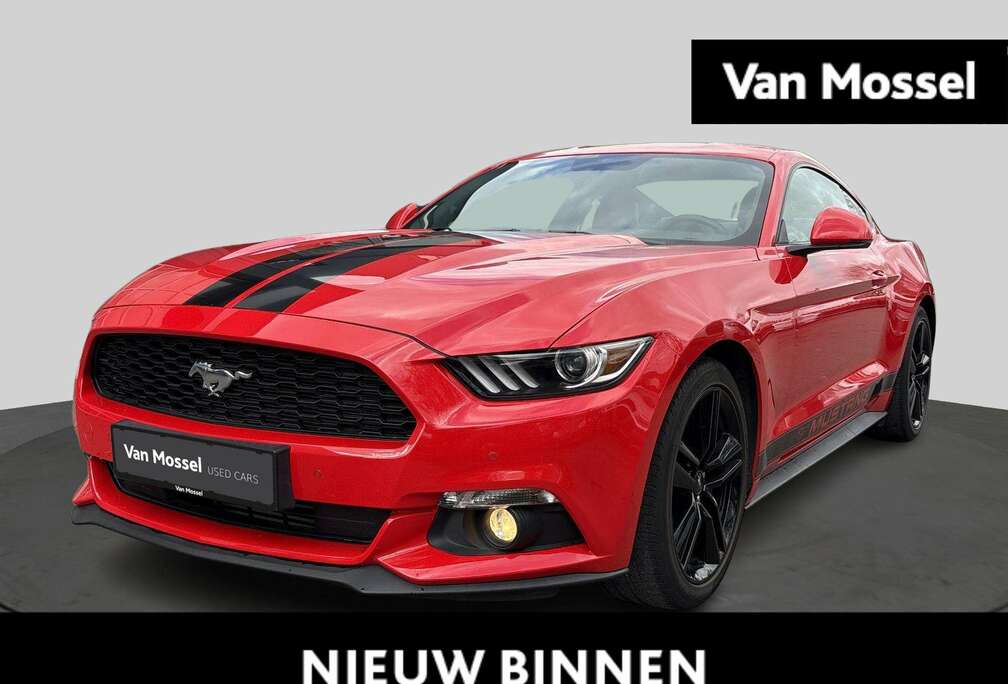 Ford 2.3i EcoBoost Blue Edition  Lage KM-stand