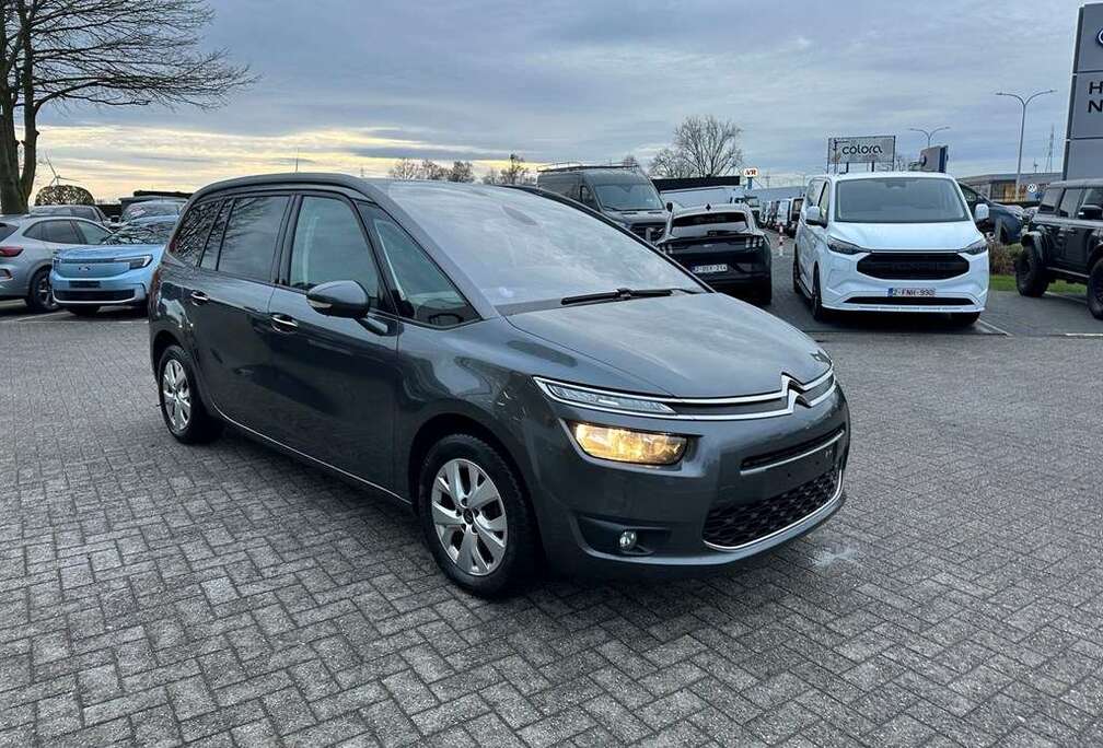 Citroen Enkel voor professionele verkoop.