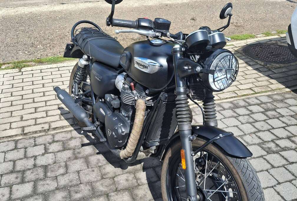 Triumph Black Edition