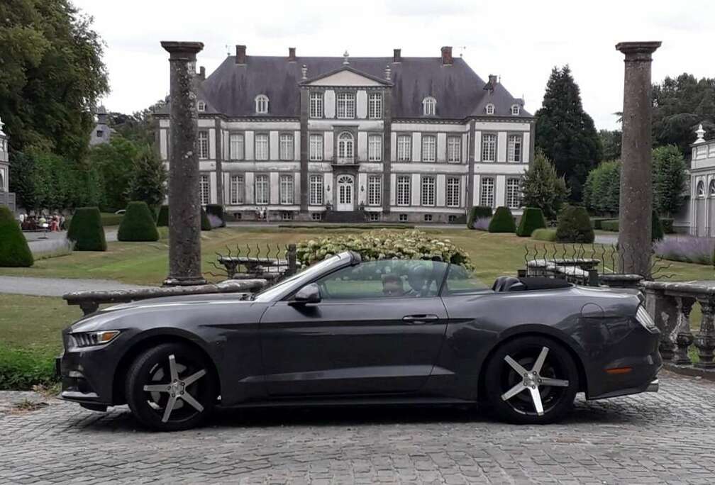 Ford Mustang Cabrio 2.3 Eco Boost