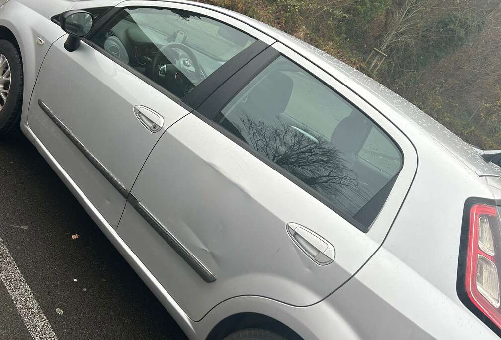 Fiat Punto EVO 1.3 MultiJet Dynamic