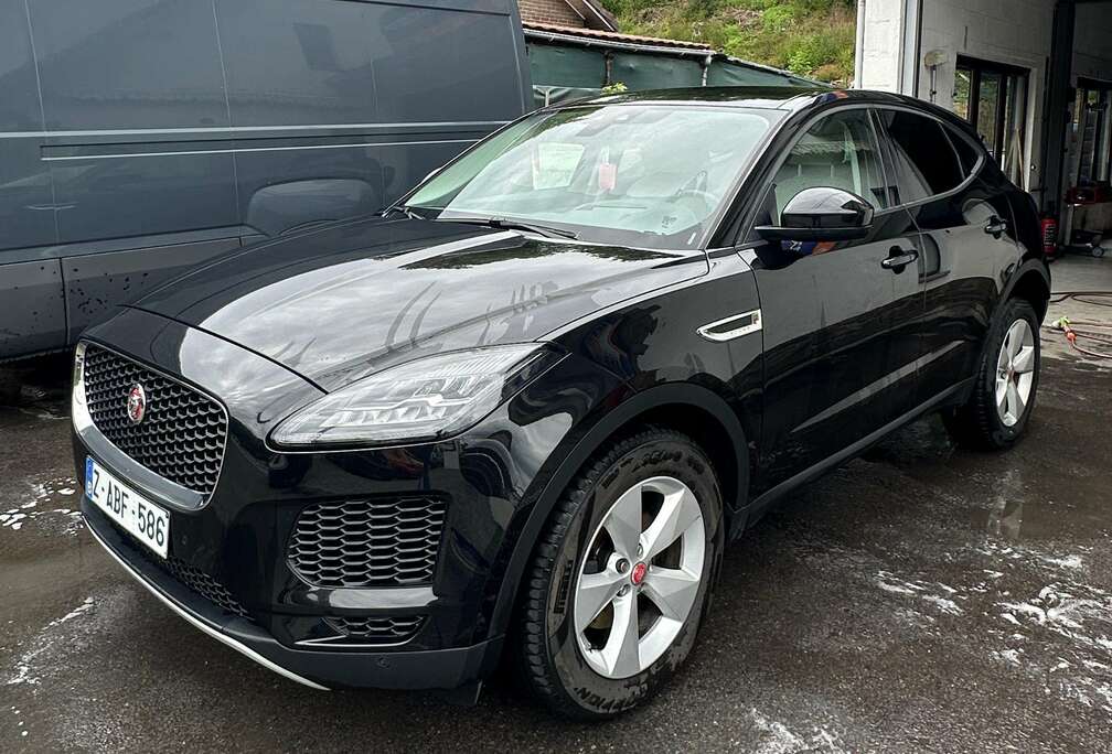 Jaguar