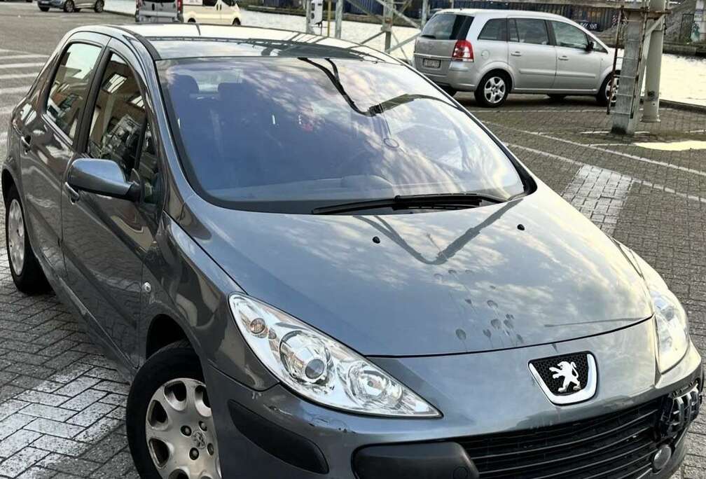 Peugeot 1.6i 16v Oxygo