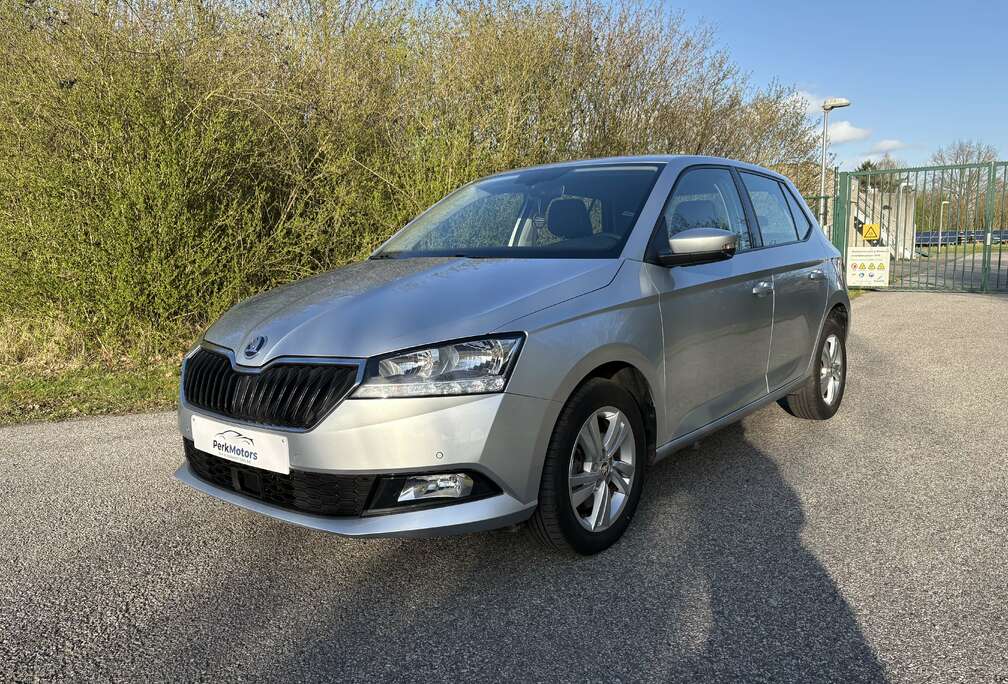 Skoda Fabia 1.0 TSI Style DSG- Garantie*AppleCar*Keyless