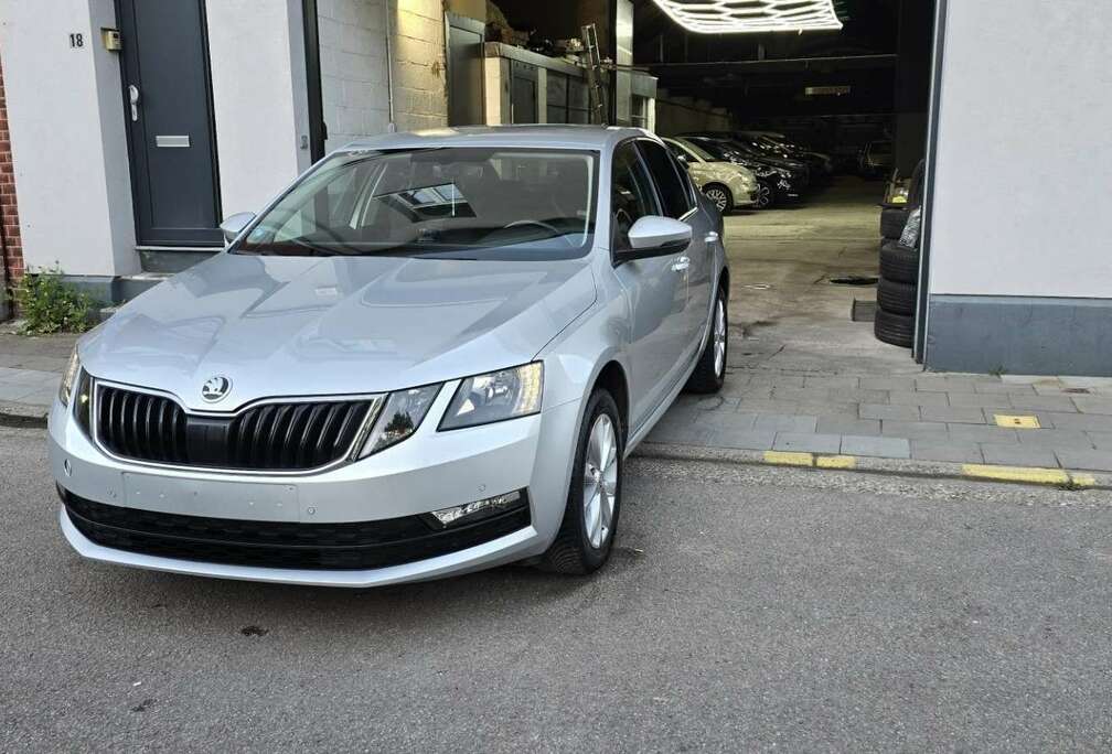 Skoda 1.6 CR TDi Style (EU6.2)
