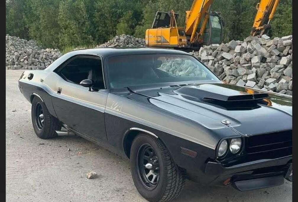 Dodge 318