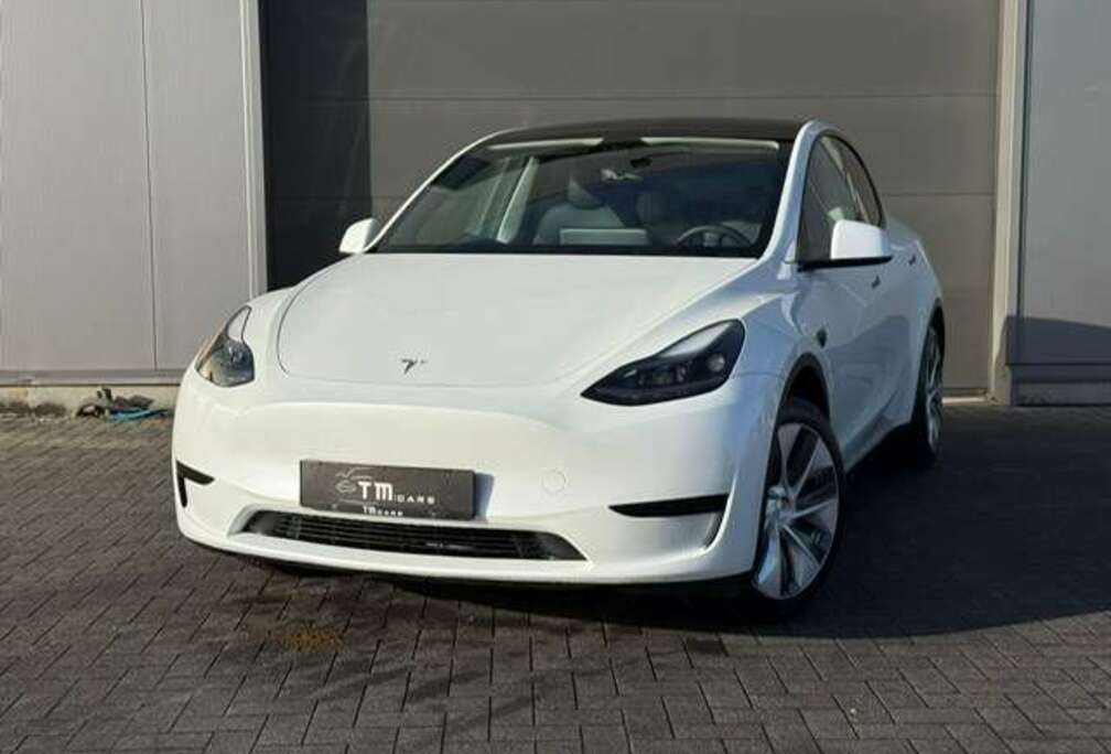 Tesla Autopilot/camera/LED