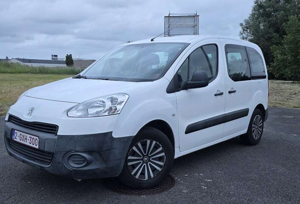 Peugeot Tepee 1.6i Active