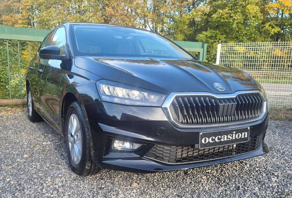 Skoda Selection Fabia 1.0 TSI Selection DSG