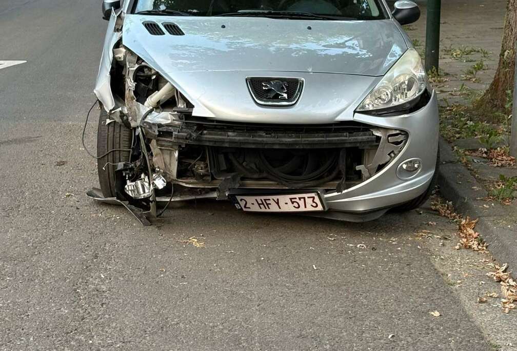 Peugeot 206+ 1.4i Trendy