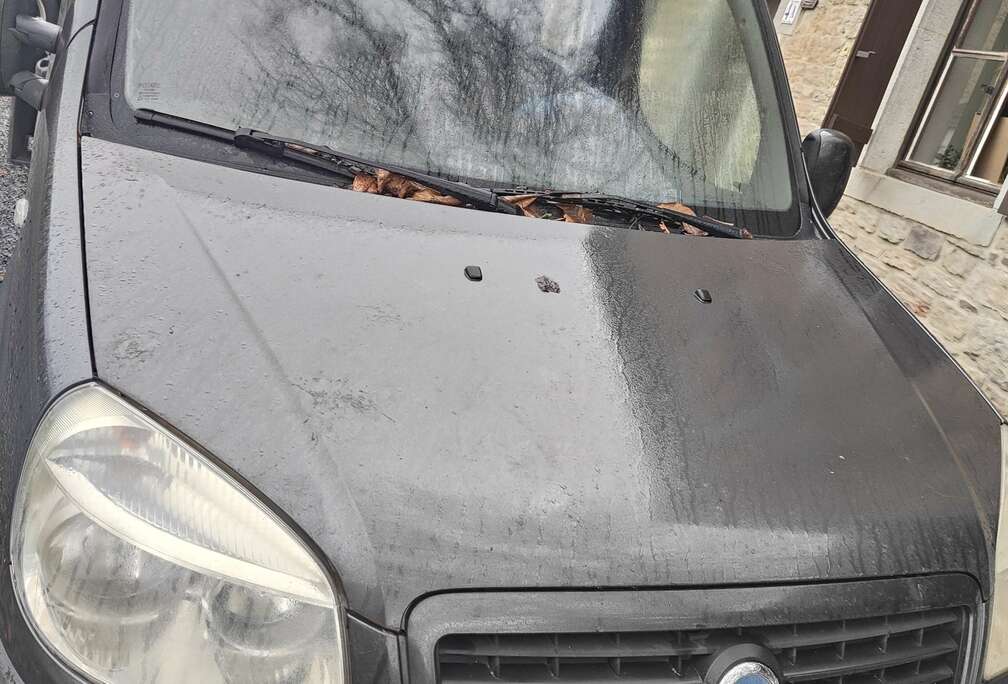 Fiat Doblo 1.3 Multijet Dynamic DPF