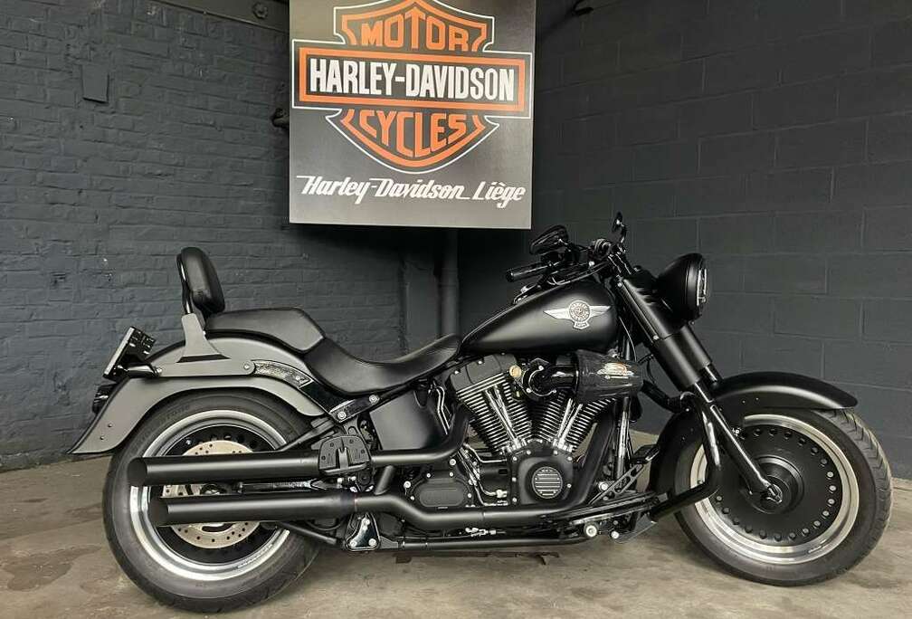 SPECIAL SOFTAIL