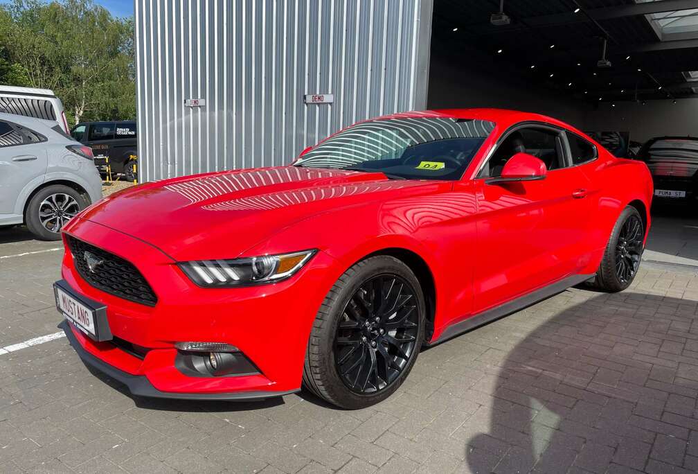 Ford 2.3 Fastback 317PK Manueel