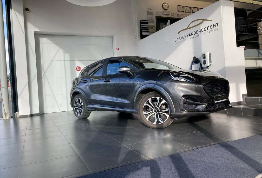 Ford ST-LINE  BENZINE PANO DAK