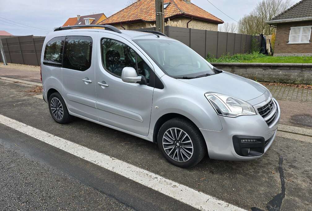 Peugeot Tepee 1.6 BlueHDi 1EIG. PERFECTE STAAT EURO6