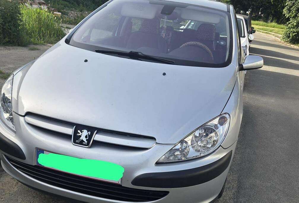 Peugeot 307 1.6i 16v XS
