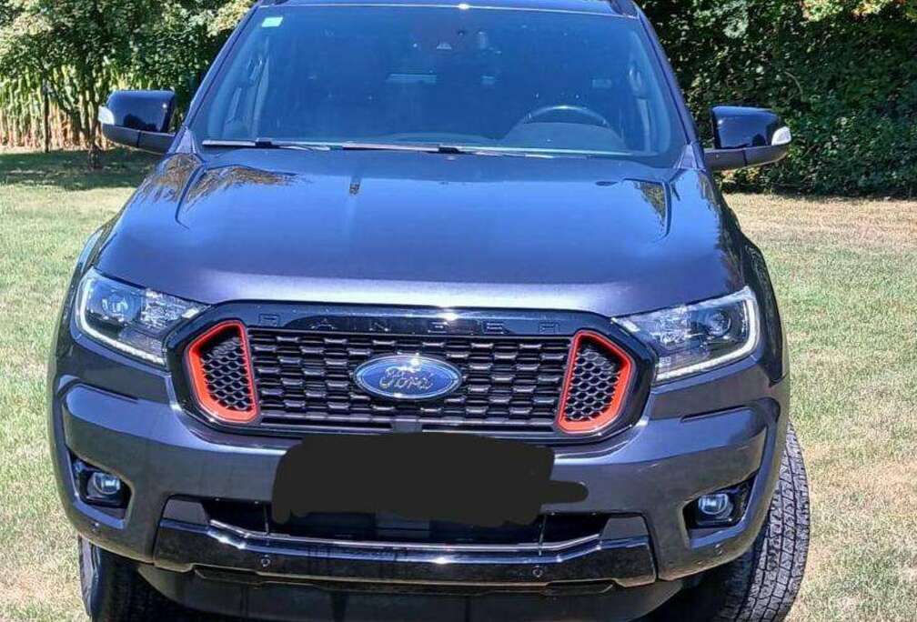 Ford 2.0 BiT EcoBlue Wildtrak (EU6.2)