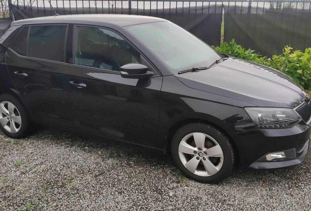 Skoda 1.0 TSI Ambition