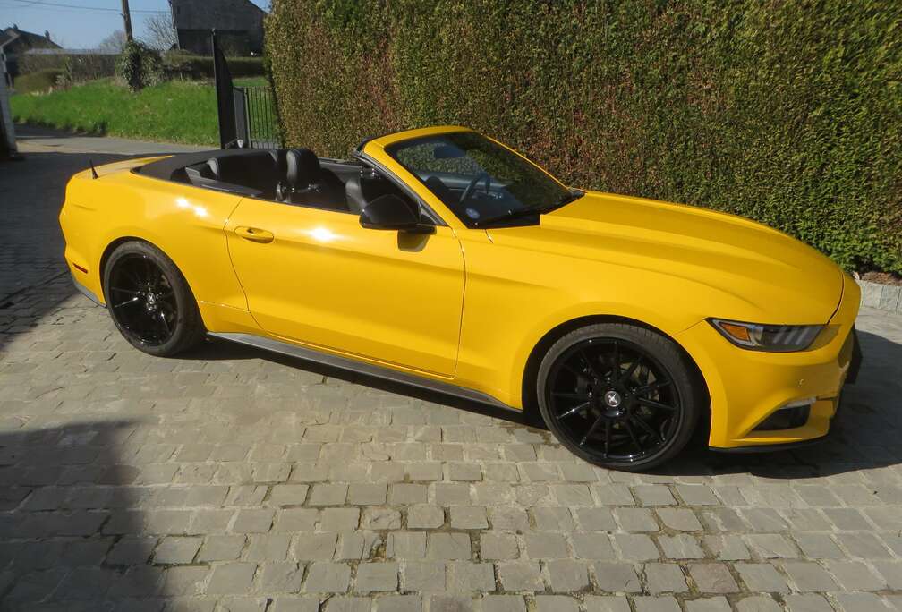 Ford Mustang Convertible 2.3 EcoBoost