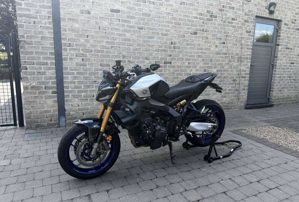 SP