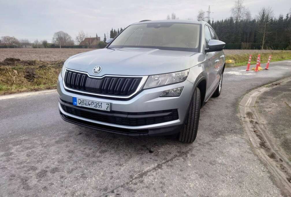 Skoda 2.0 TDI DSG Ambition
