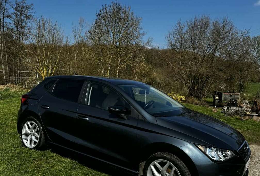 SEAT 1.0 TSI FR (EU6AP)