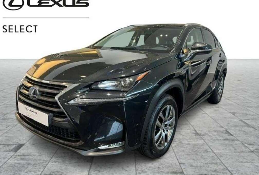 Lexus Executive Line
