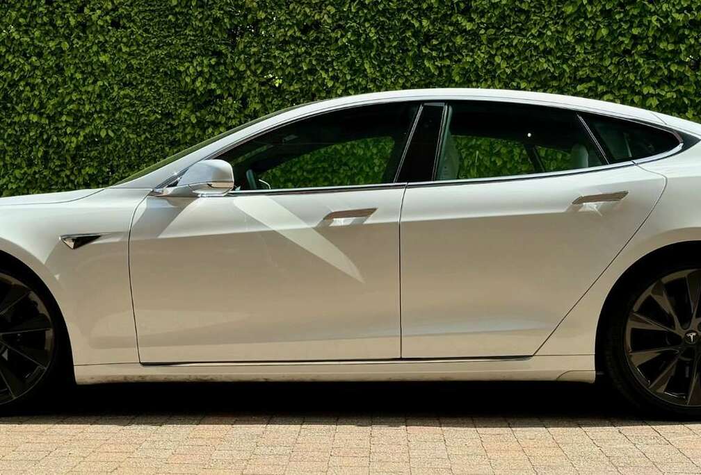 Tesla 100D RAVEN - ENHANCED AUTOPILOT
